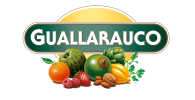  GUALLARAUCO